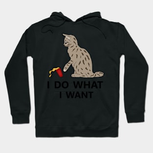 I do what I want Cat Funny Cat Lover Hoodie
